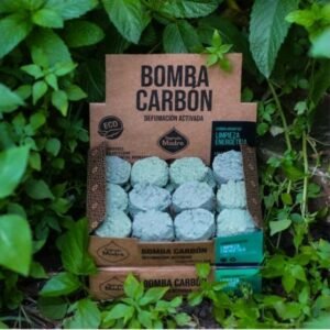 Encens charbon Sagrada madre Nettoyage énergétique 
x24 charbons