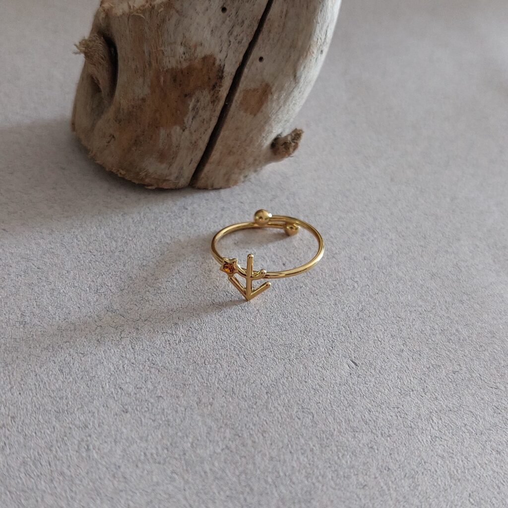 Bague zodiaque sagittaire